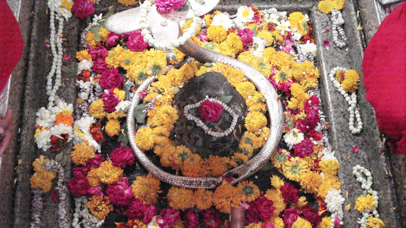 What is the story behind Shree Omkareshwar JyotirlingaOmkareshwar Jyotirlinga